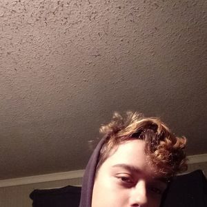 Meet your Posher, Dusty